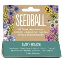 Garden Meadow Seedball Hanging Pack