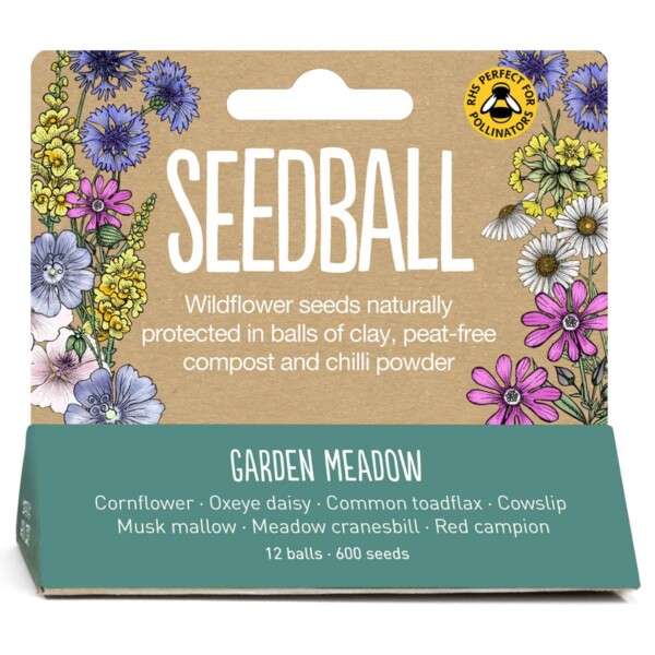 Garden Meadow Seedball Hanging Pack