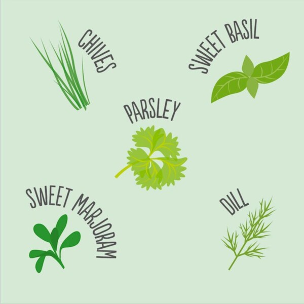 Herb Mix Seedball Tin - Image 3