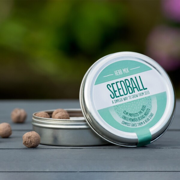 Herb Mix Seedball Tin - Image 2