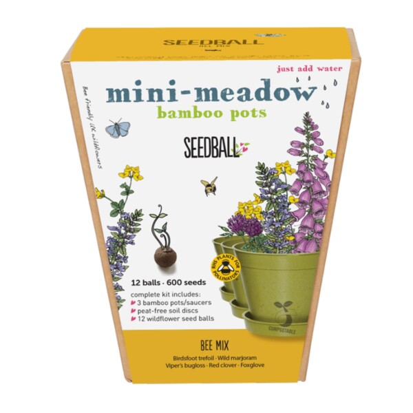 Mini-Meadow Bamboo Pots - Bee Mix