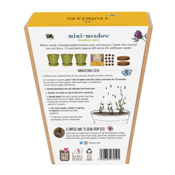 Mini-Meadow Bamboo Pots - Bee Mix - Image 2