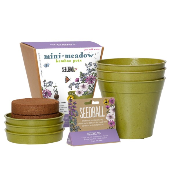Mini-Meadow Bamboo Pots - Butterfly Mix - Image 3