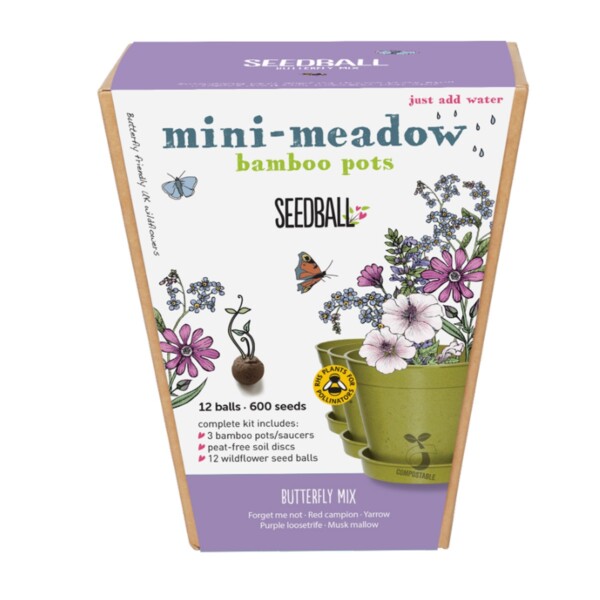 Mini-Meadow Bamboo Pots - Butterfly Mix