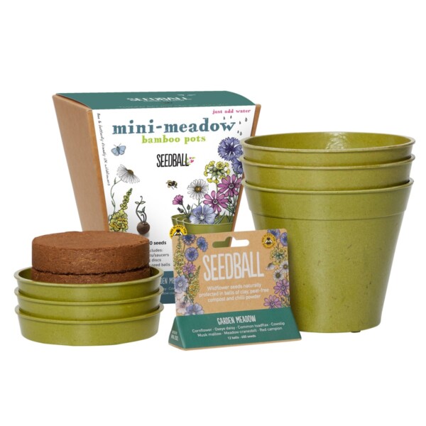 Mini-Meadow Bamboo Pots - Garden Meadow - Image 3