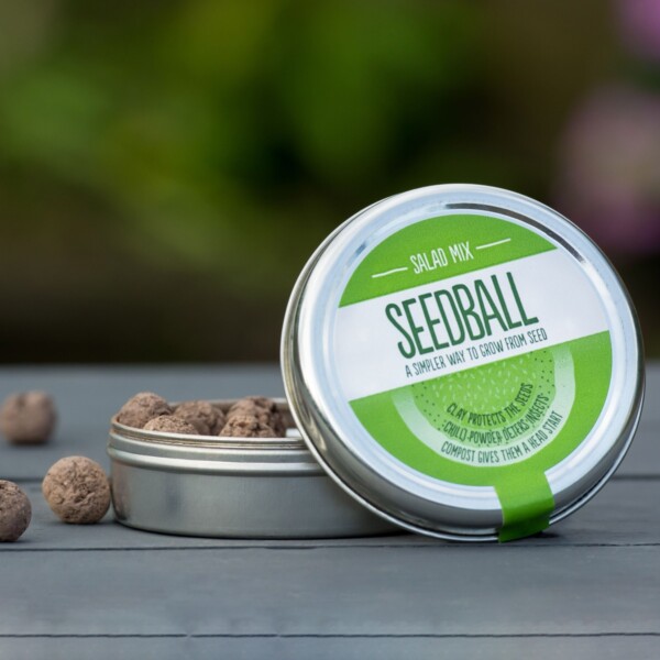 Salad Mix Seedball Tin