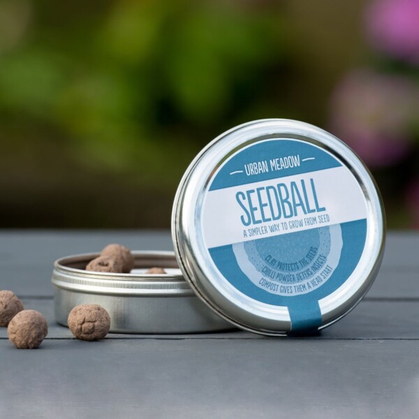 Urban Meadow Seedball Tin