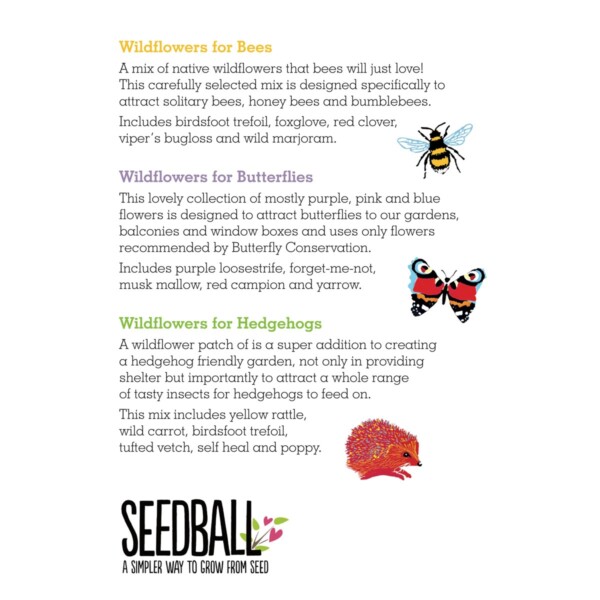 Wildlife Collection Seed Boxes - Image 4