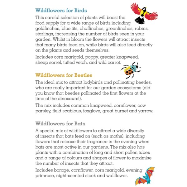 Wildlife Collection Seed Boxes - Image 3