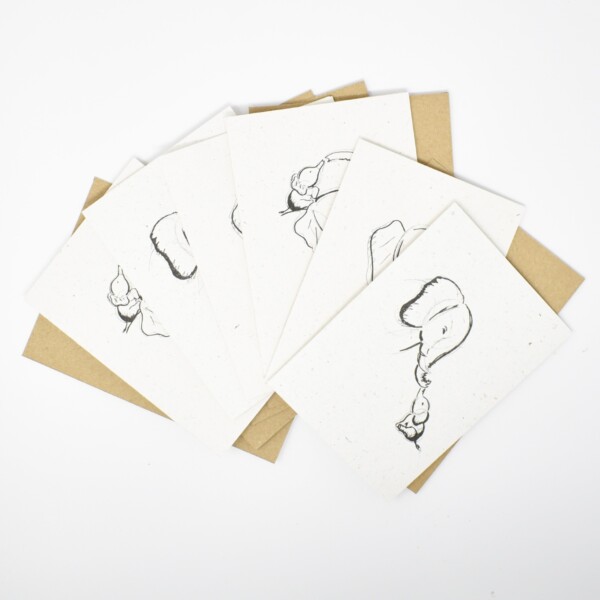Elephant Dung Paper Greeting Cards 'Elephant' - 6 Pack