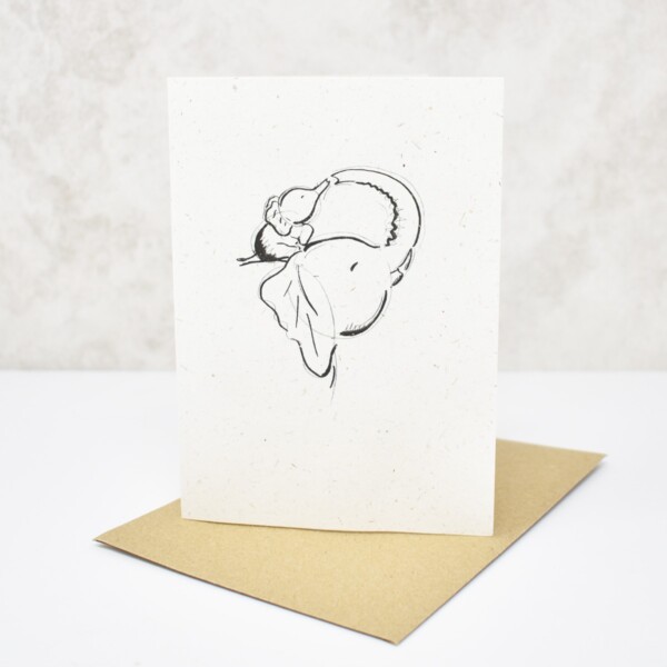 Elephant Dung Paper Greeting Card 'Play'