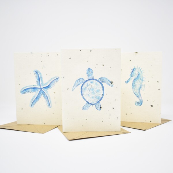 Cornish Seaweed Paper Greeting Cards 'Sea Life' - 6 Pack - Image 2