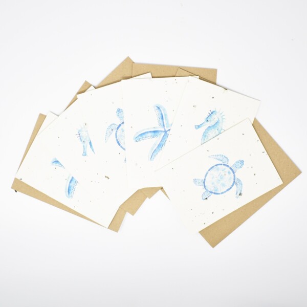 Cornish Seaweed Paper Greeting Cards 'Sea Life' - 6 Pack