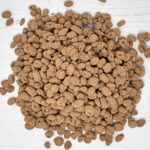 Raw Chocolate Raisins