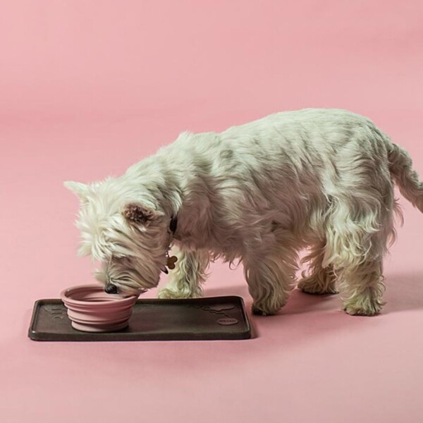 Natural Rubber Dog Bowl On The Go - Old Rose - Image 4