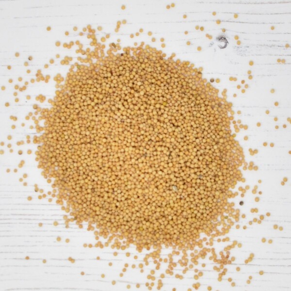 Nigella Seeds