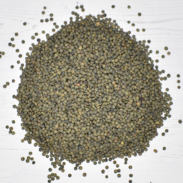 Dark Speckled Lentils