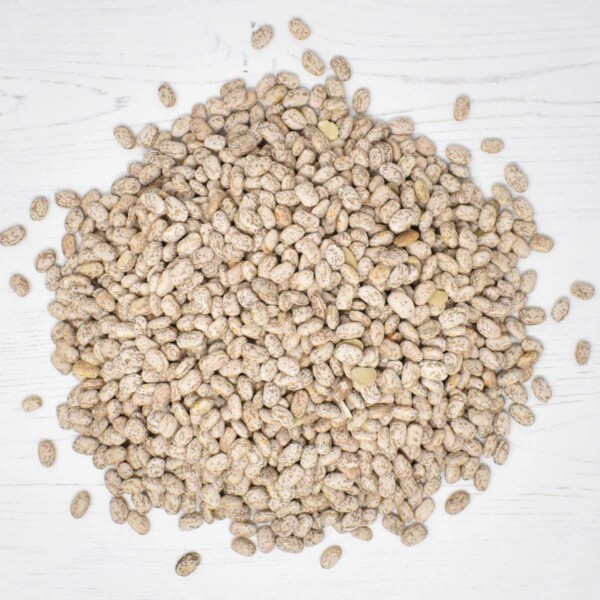 Pinto Beans