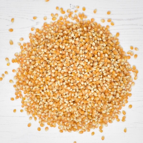 Organic Popping Corn