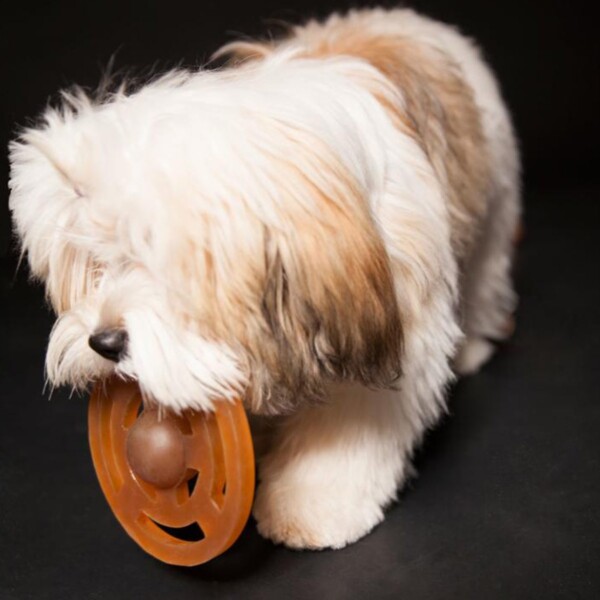 Natural Rubber Galaxy Fetch Toy - Image 3