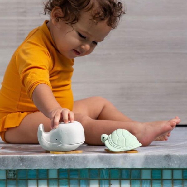 Whale & Turtle Bath Toy Gift Set - Frosty White & Sage - Image 4