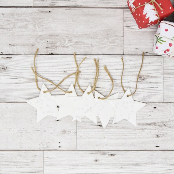 Plantable Paper Gift Tags - Stars