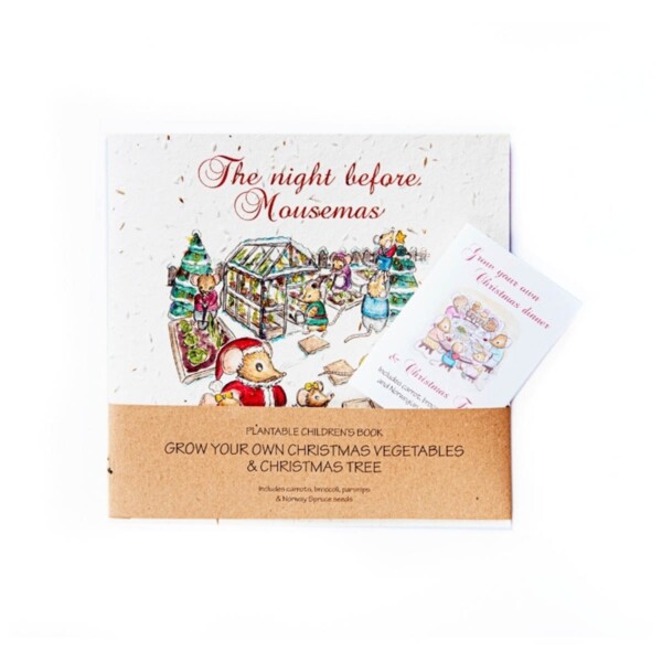 The Night Before Mousemas Children's Book