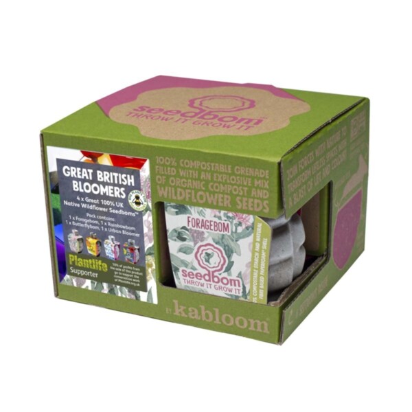 Great British Bloomers Seed Bombs Gift Box