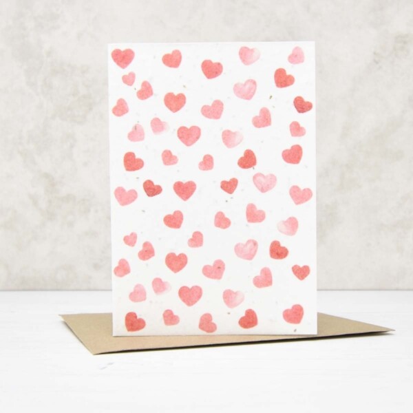 Seed Paper Greeting Card - Pink & Red Hearts