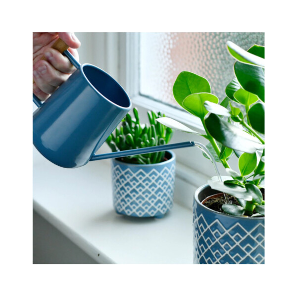 Plastic Free Indoor Watering Can - Heritage Blue - Image 2