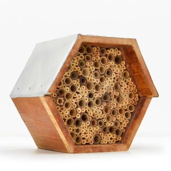 Solitary Bee House