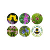 Bee Mix Seedball Grab Bag - Image 3