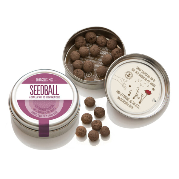 Foragers Mix Seedball Tin - Image 2