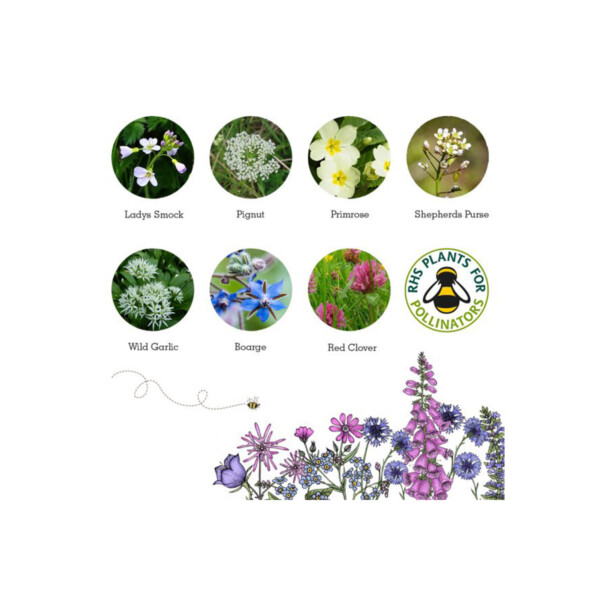 Foragers Mix Seedball Tin - Image 3