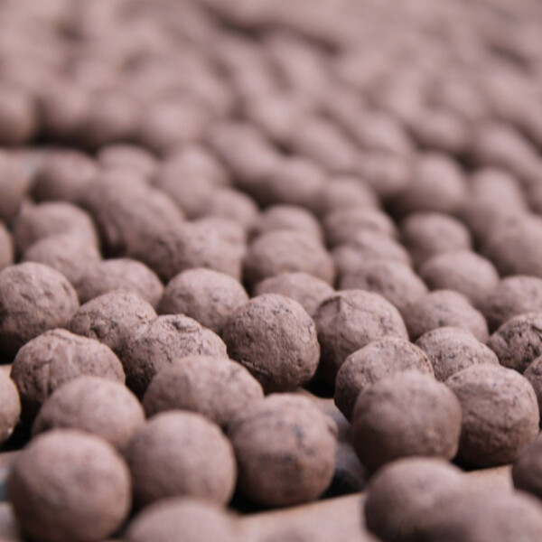 Foragers Mix Seedball Tin - Image 4