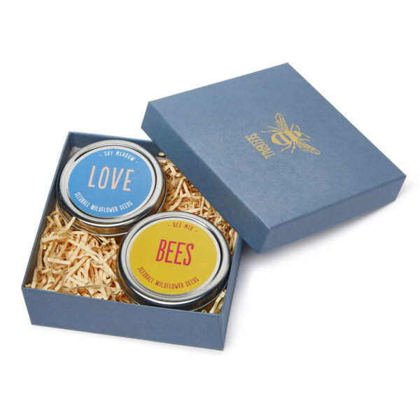 Love Bees Seedball Gift Set