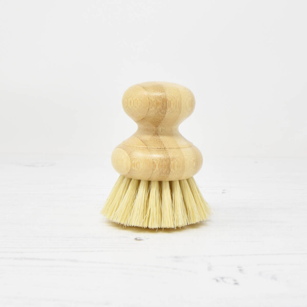 Casa Agave Dish Brush