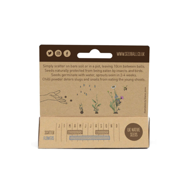 Shade Mix Seedball Hanging Pack - Image 2