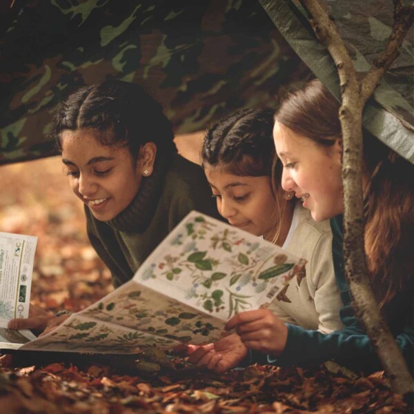 The British Woodland Den Kit - Image 3