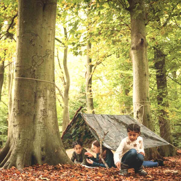 The British Woodland Den Kit - Image 2