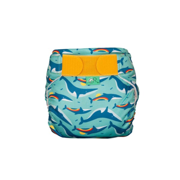 Swim Nappy - Whales