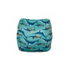 Swim Nappy - Whales - Image 3