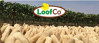 LoofCo