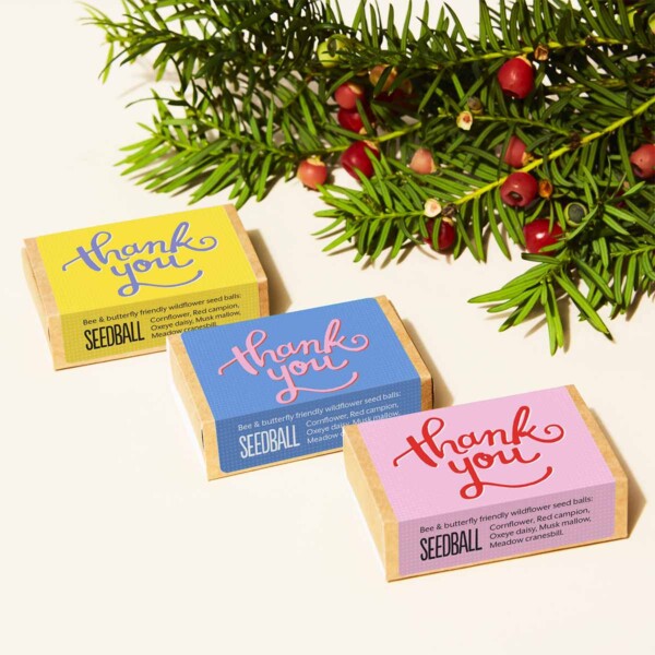 'Thank You' Seedball Box - Image 2