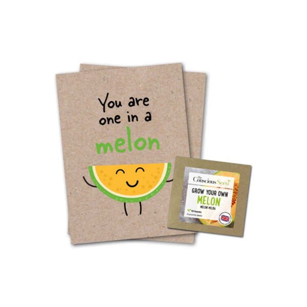 You Are One In A Melon Greeting Card With Melon Seeds