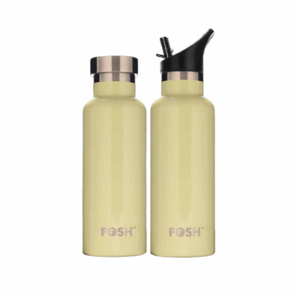 Pistachio Triple Insulated Stainless Steel Water Bottle – 530ml