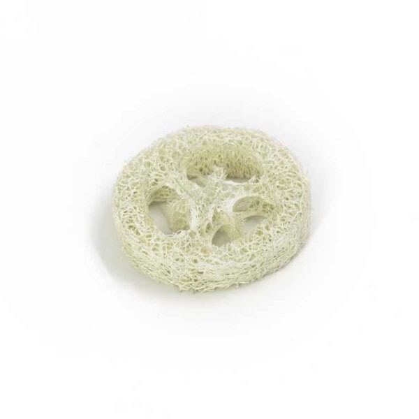Loofah Slice - Image 2