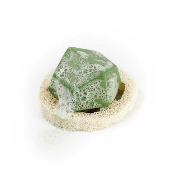 Loofah Slice