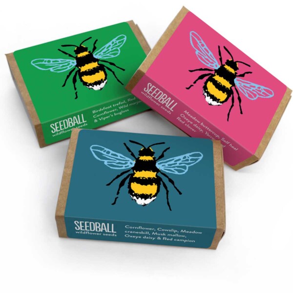 Bee Seedball Box