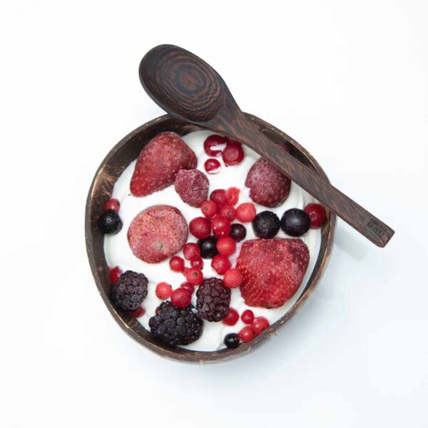 Natural Coconut Bowl & Ebony Spoon
